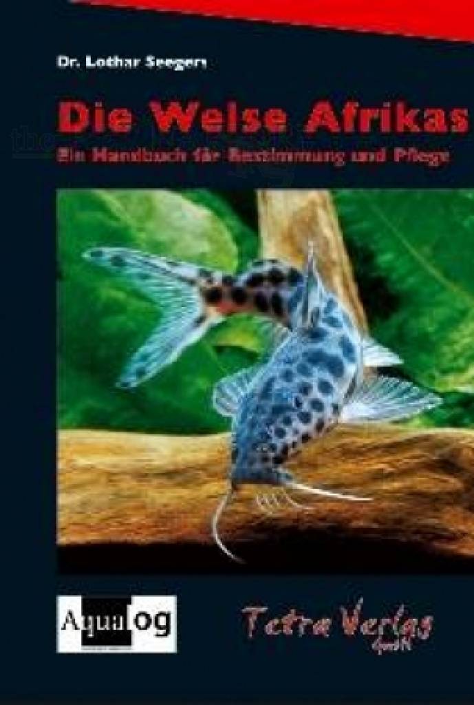 Die Welse Afrikas